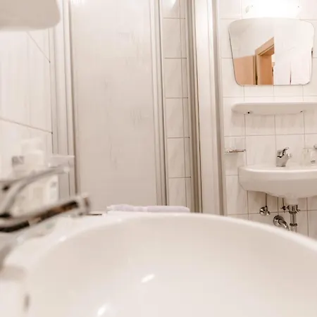 Gruener Fidelis ゼルデン