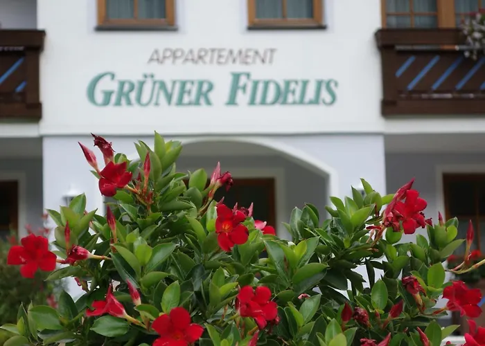 Lejlighed Gruener Fidelis Sölden